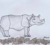 nashorn