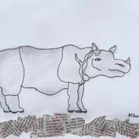 nashorn