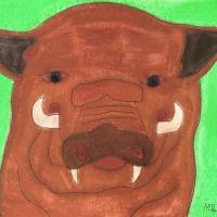 wildschwein ergebnis