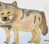 wolf